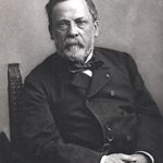 Życiorys - Ludwik Pasteur - Wielki dobroczyńca ludzkości